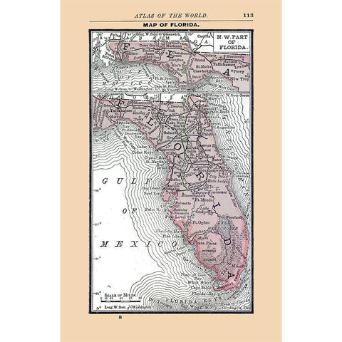 Florida - Alden 1886 Gold Ornate Wood Framed Art Print with Double Matting by Alden