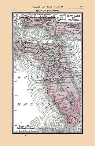 Florida - Alden 1886 White Modern Wood Framed Art Print with Double Matting by Alden