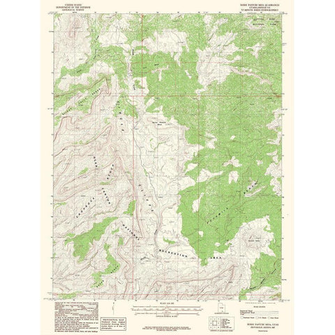 Horse Pasture Mesa Utah Quad - USGS 1987 Gold Ornate Wood Framed Art Print with Double Matting by USGS