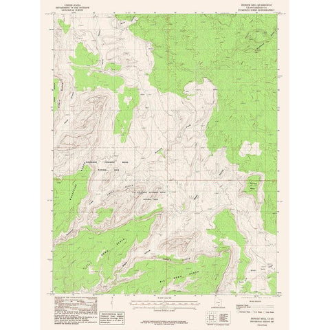 Pioneer Mesa Utah Quad - USGS 1987 Gold Ornate Wood Framed Art Print with Double Matting by USGS