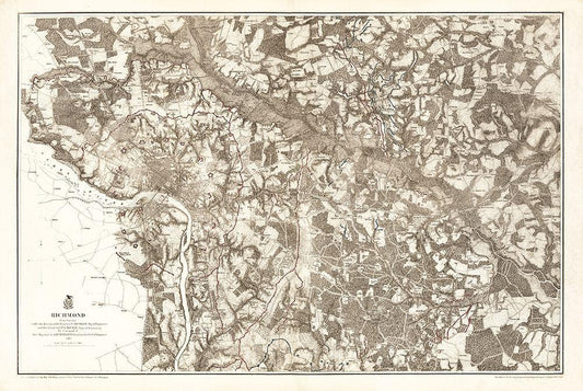 Image Only