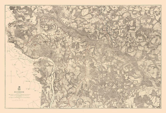 Image Only