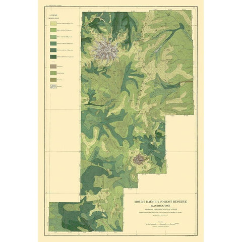 Mount Rainier Forest Washington 1899 White Modern Wood Framed Art Print by Bien