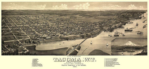 Tacoma Washington - Stoner 1884 Black Ornate Wood Framed Art Print with Double Matting by Stoner