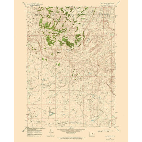 Salt Canyon Wyoming Quad - USGS 1968 White Modern Wood Framed Art Print by USGS