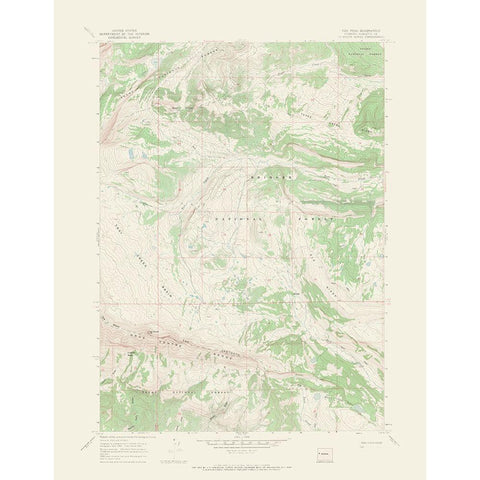 Tosi Peak Wyoming Quad - USGS 1967 Gold Ornate Wood Framed Art Print with Double Matting by USGS