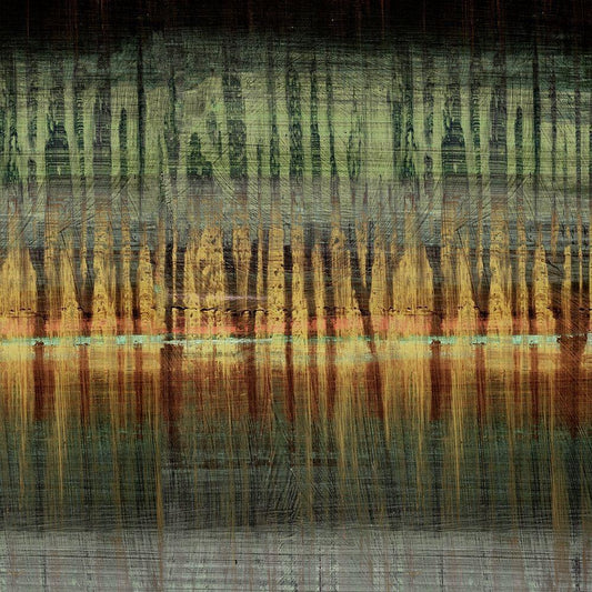Image Only