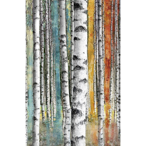 Abstract Birch I Black Modern Wood Framed Art Print with Double Matting by Brey