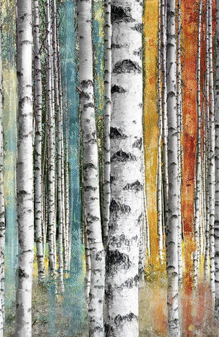 Abstract Birch I White Modern Wood Framed Art Print with Double Matting by Brey