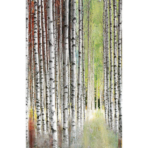 Abstract Birch II Gold Ornate Wood Framed Art Print with Double Matting by Brey