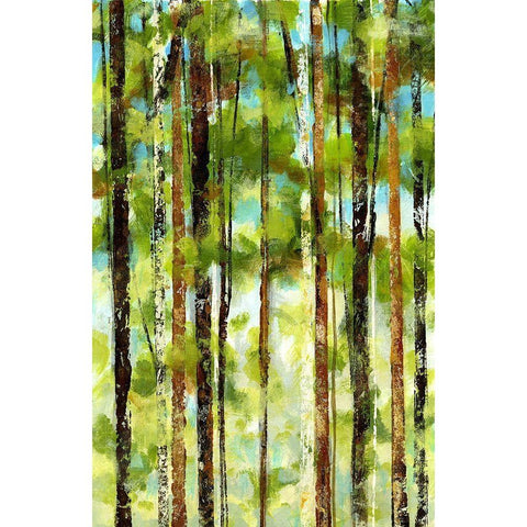 Forest I White Modern Wood Framed Art Print by Brey