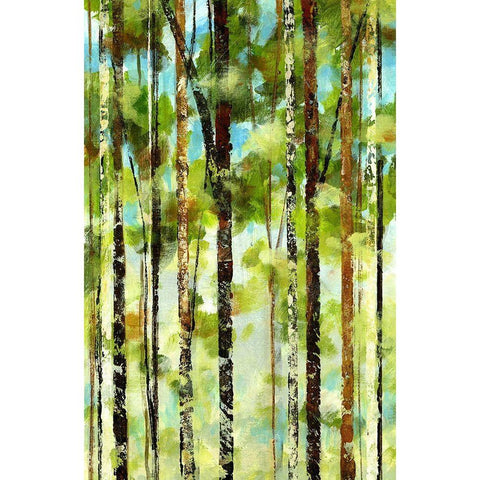 Forest II Black Modern Wood Framed Art Print with Double Matting by Brey