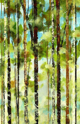 Forest II White Modern Wood Framed Art Print with Double Matting by Brey