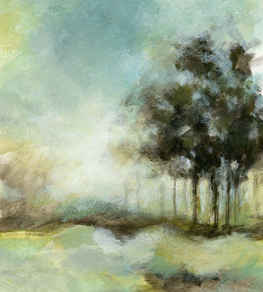 Image Only
