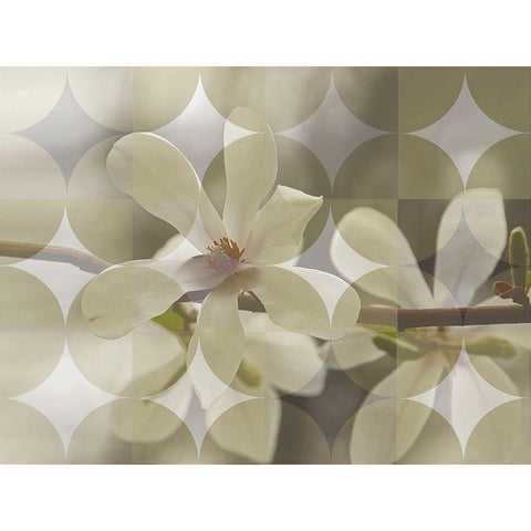 Floral Design I White Modern Wood Framed Art Print by Bartola