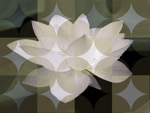 Floral Design III White Modern Wood Framed Art Print with Double Matting by Bartola