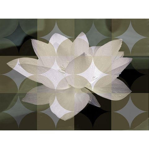 Floral Design III White Modern Wood Framed Art Print by Bartola