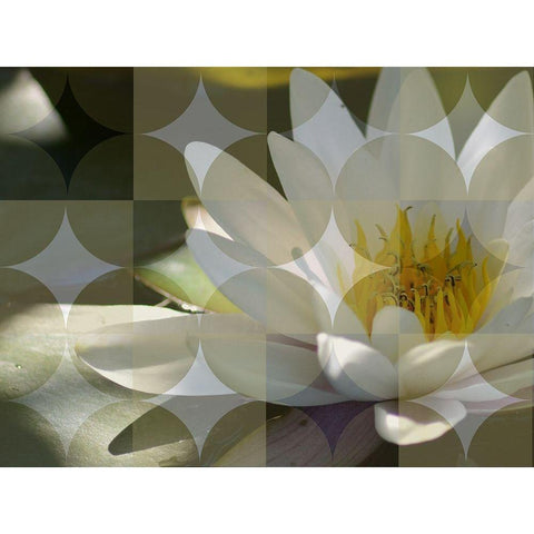 Floral Design VI Gold Ornate Wood Framed Art Print with Double Matting by Bartola