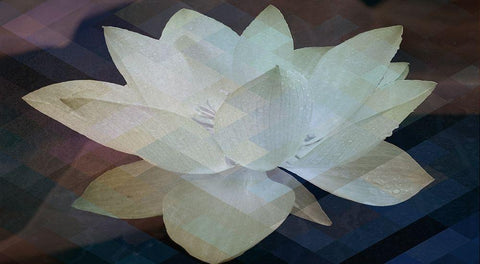 Lotus Designs White Modern Wood Framed Art Print with Double Matting by Bartola