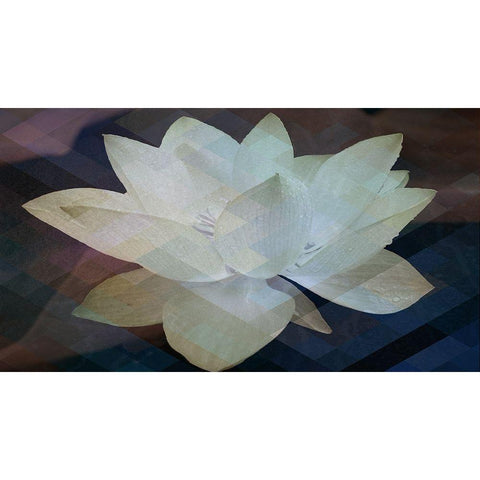 Lotus Designs White Modern Wood Framed Art Print by Bartola