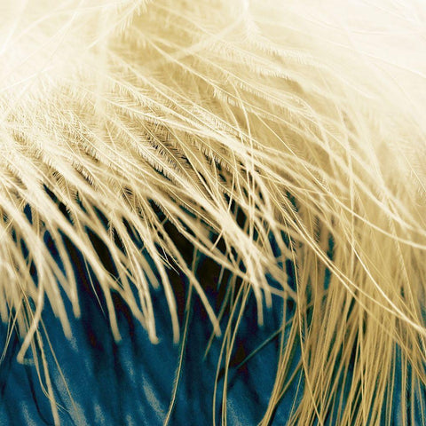 Feathergold II White Modern Wood Framed Art Print by Franklin