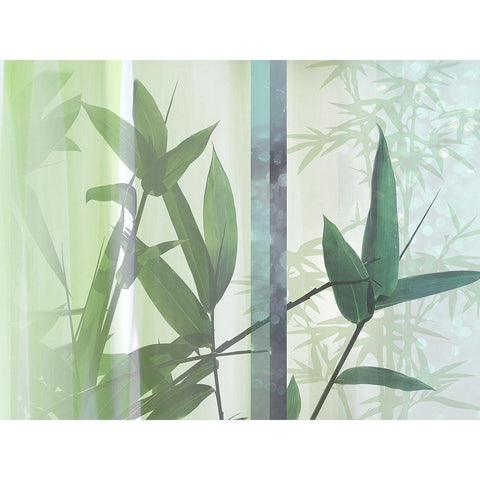 Morning Bamboo II Black Modern Wood Framed Art Print with Double Matting by Franklin