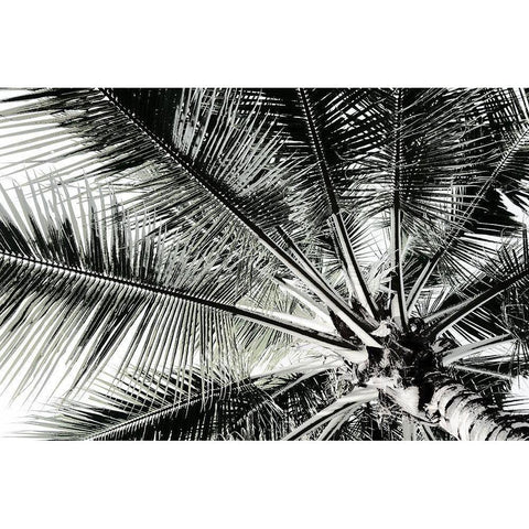 Neutral Palm III White Modern Wood Framed Art Print by Franklin