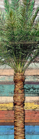 Palm Plank I Black Ornate Wood Framed Art Print with Double Matting by Franklin