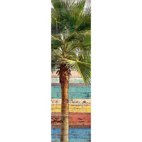 Palm Plank III White Modern Wood Framed Art Print by Franklin