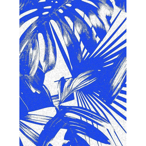 Tropical Blue I Black Modern Wood Framed Art Print with Double Matting by Franklin