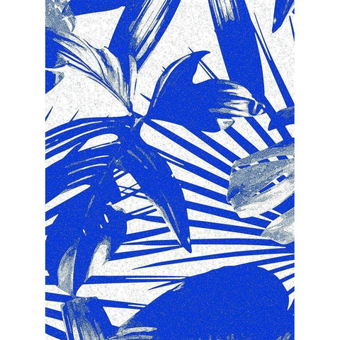 Tropical Blue III Black Modern Wood Framed Art Print with Double Matting by Franklin