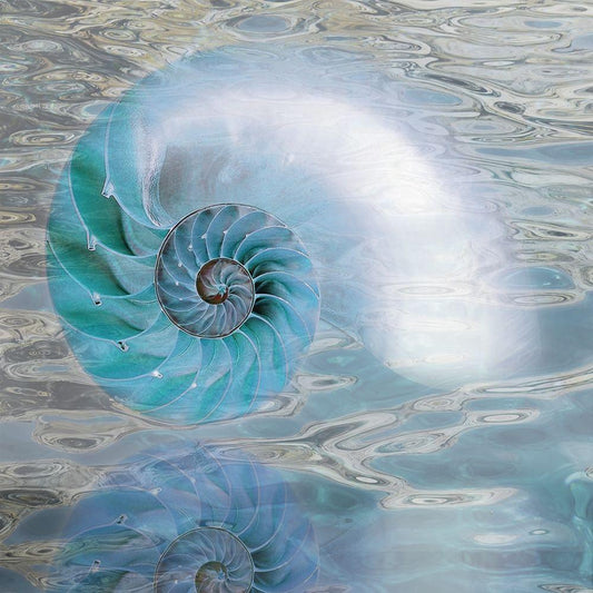 Image Only