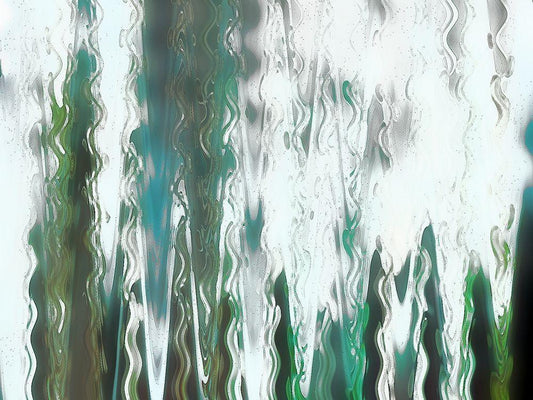 Image Only
