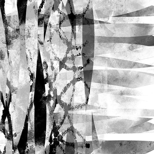 Image Only