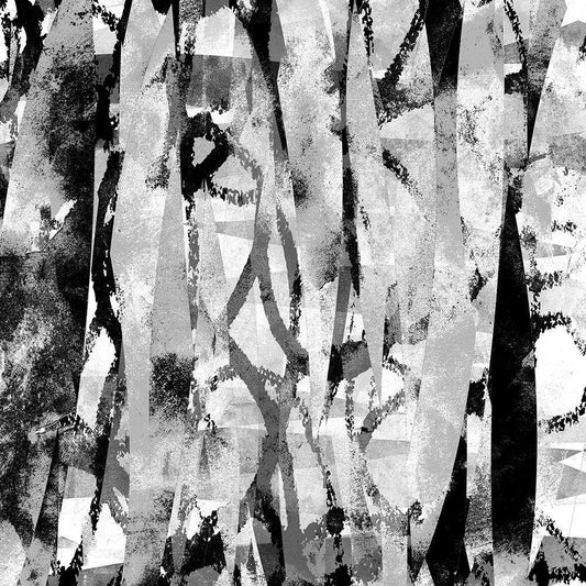 Image Only