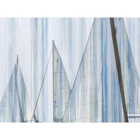 Sails I White Modern Wood Framed Art Print by Franklin