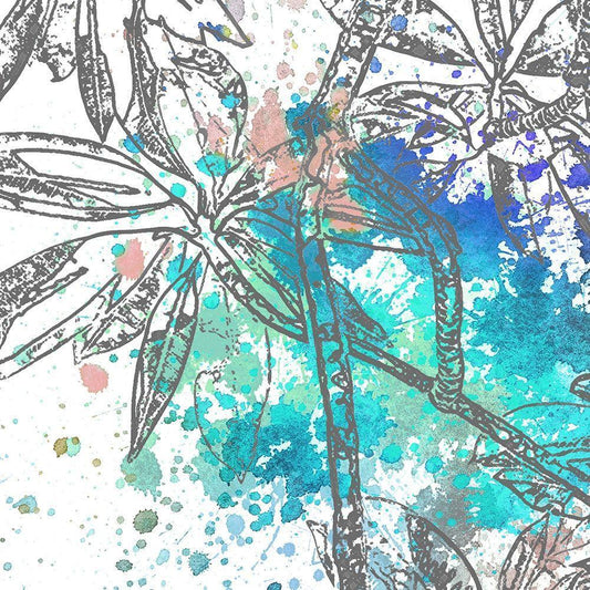 Image Only