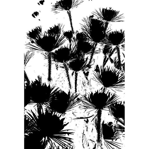 Bloomin Black II White Modern Wood Framed Art Print by Simons