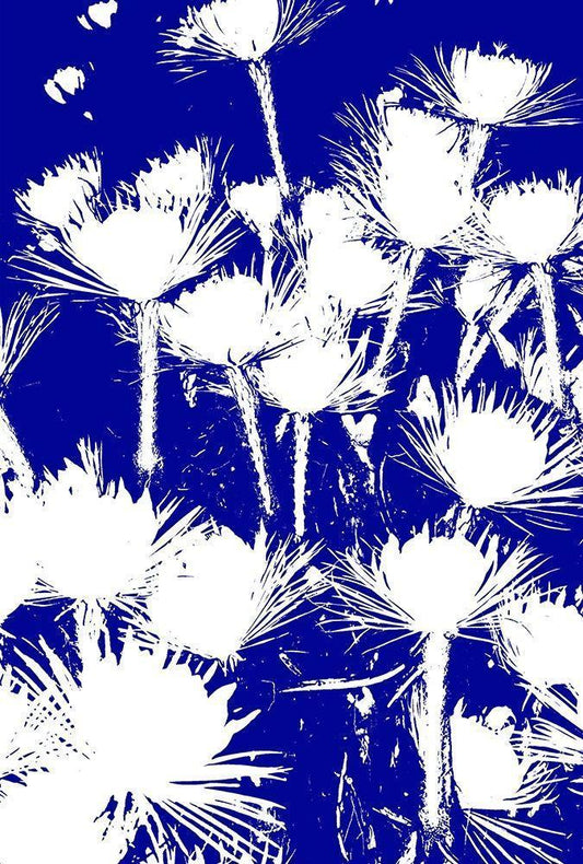 Image Only