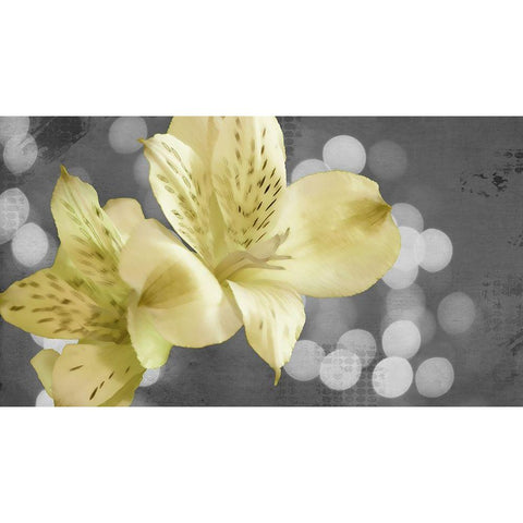 Bubbly in Yellow Black Modern Wood Framed Art Print with Double Matting by Simons