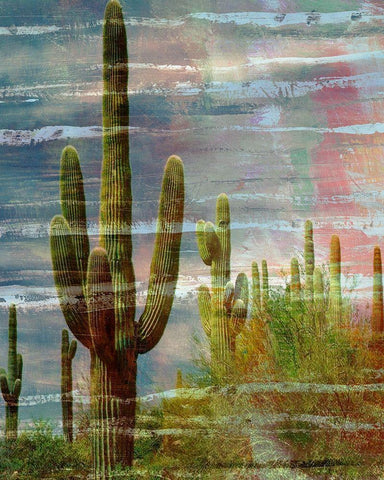 Cactus Landscape I White Modern Wood Framed Art Print with Double Matting by Simons