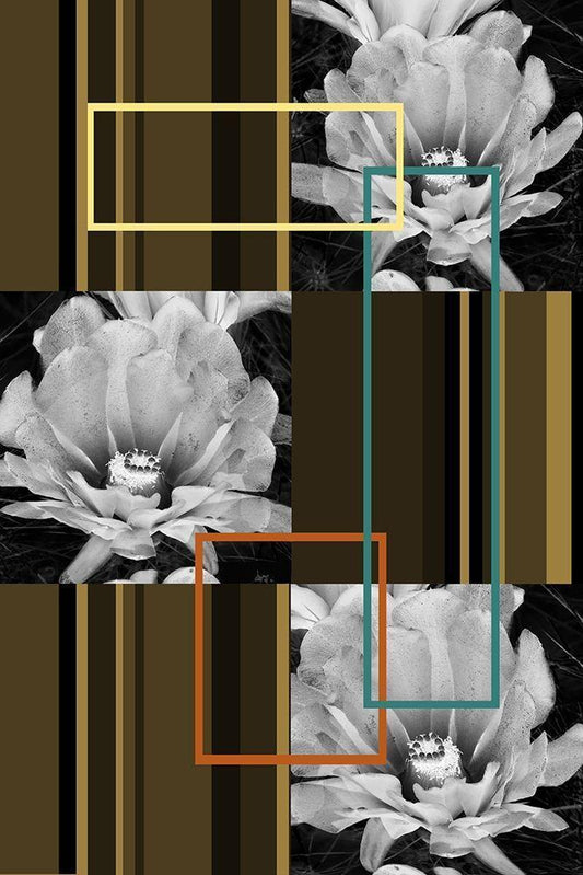 Image Only