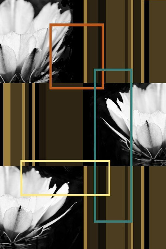 Image Only