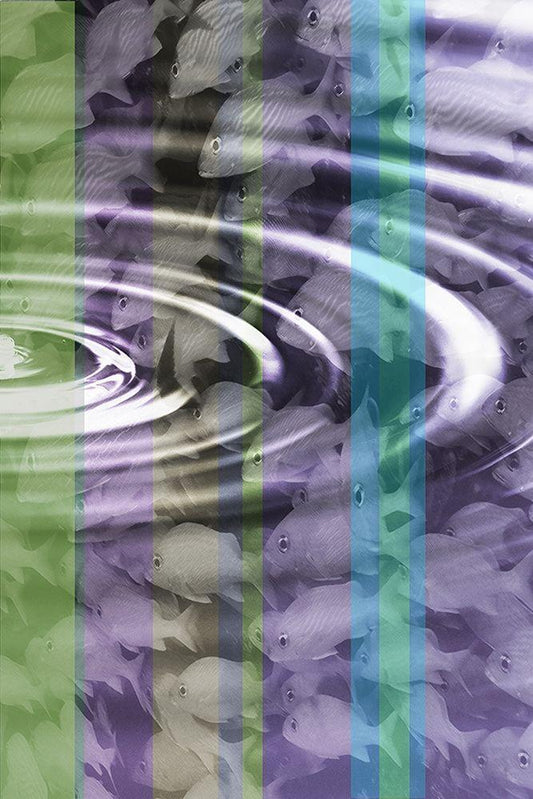 Image Only