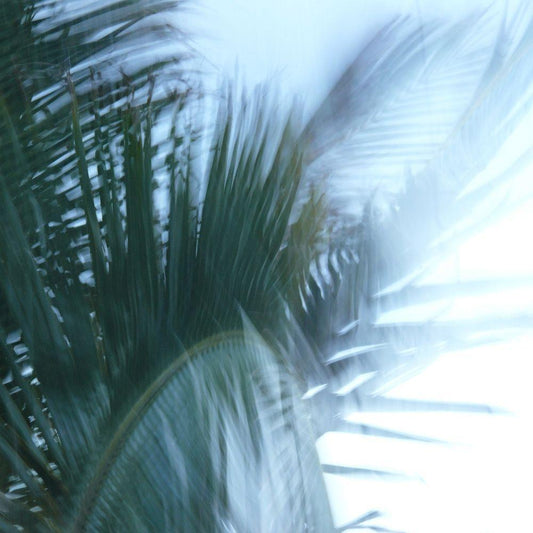 Image Only