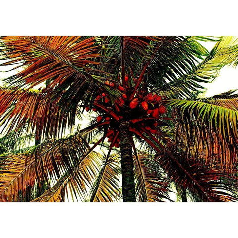 Neon Palm Hot White Modern Wood Framed Art Print by Simons