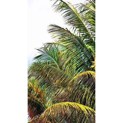 Neon Palm I Black Modern Wood Framed Art Print with Double Matting by Simons