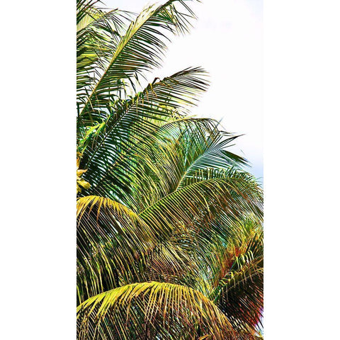 Neon Palm II White Modern Wood Framed Art Print by Simons