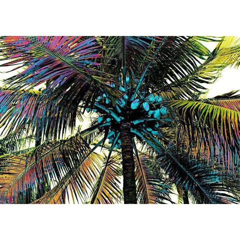 Neon Palm Rainbow Black Modern Wood Framed Art Print with Double Matting by Simons