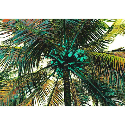 Neon Palm Sunny Black Modern Wood Framed Art Print with Double Matting by Simons